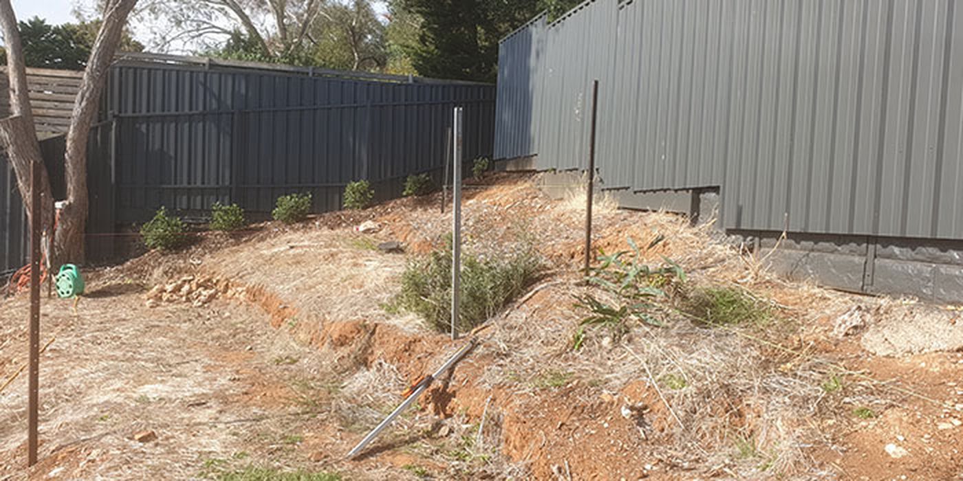 Bare, overgrown sloping backyard before landscaping in Glen Osmond, backing onto a Colorbond fence