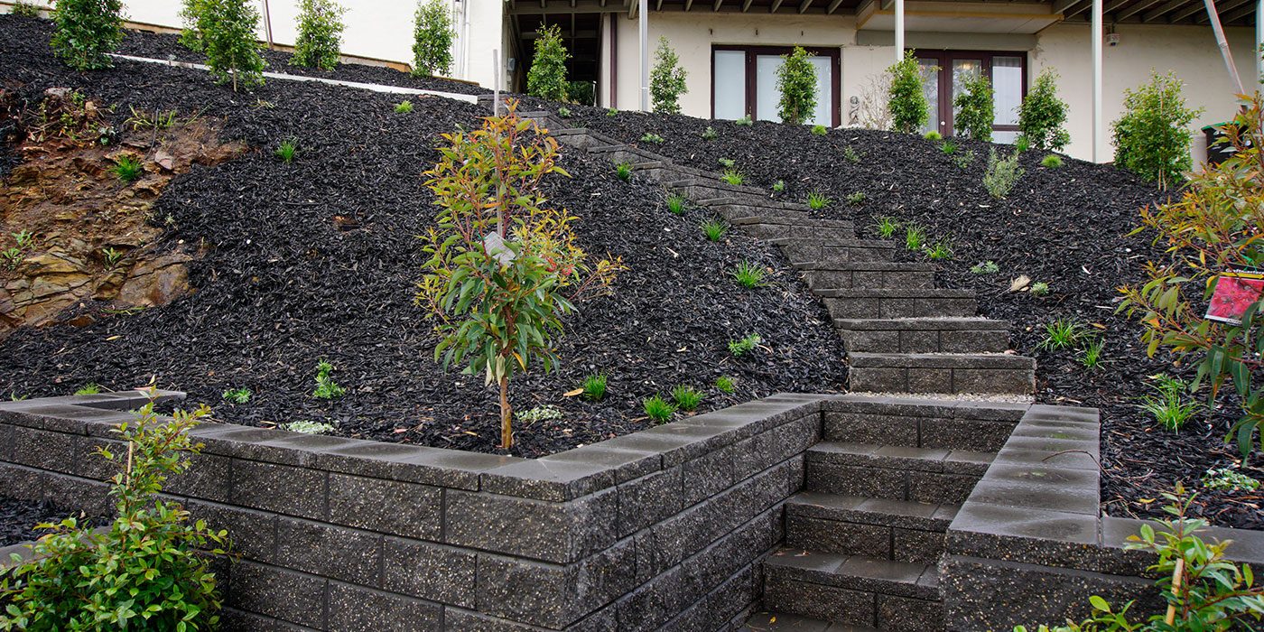 Finished concrete block retaining wall and curved steps with mulched garden beds in Glen Osmond