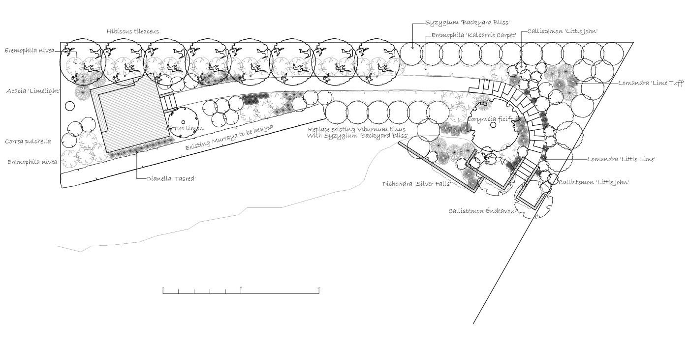 Soft-scape planting concept plan drawing with labelled plant species for the same Glen Osmond project