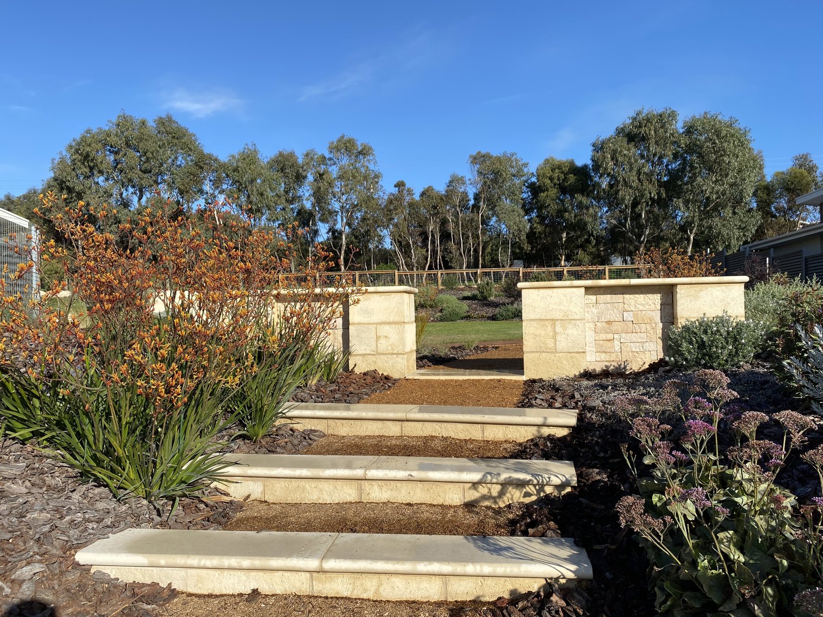 Sandstone steps and feature pillars with native kangaroo paw planting leading into a landscaped backyard