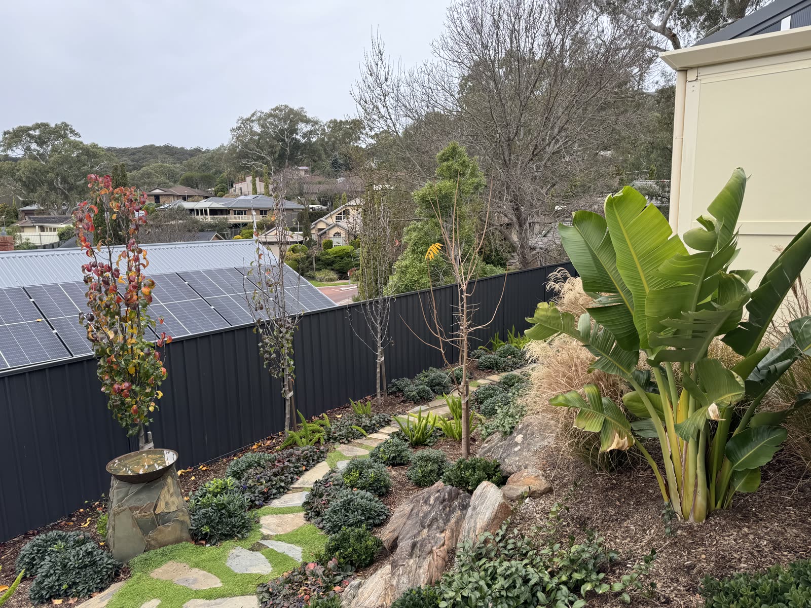 Sloping side garden in Aberfoyle Park with a sandstone crazy-paving path, boulders and mixed native and tropical planting including a banana palm