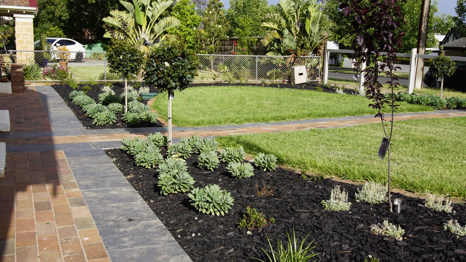 New front lawn with paved paths, garden beds and feature trees in Beulah Park
