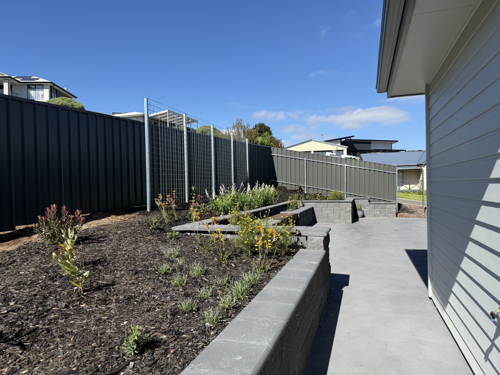 Newly landscaped side garden at a new home in Encounter Bay with concrete-block retaining walls, native flowering planting and a paved path