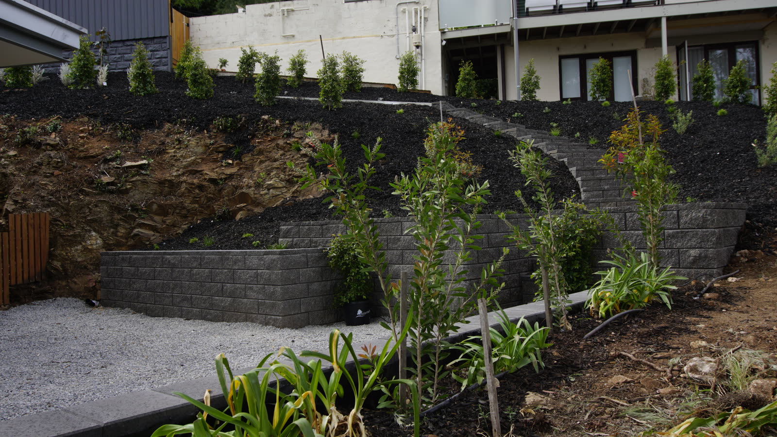 Steeply sloping backyard in Glen Osmond terraced with segmental retaining walls, garden steps and new planting cut into the rock face
